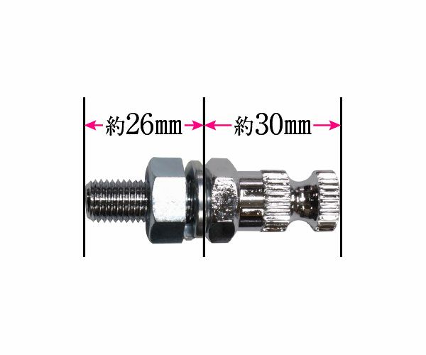 CGC製ウインカーステーM10X30【4本入】